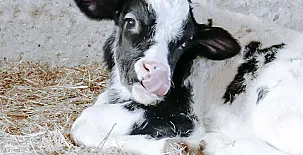 Apartamentos Pura Agro Vida 005