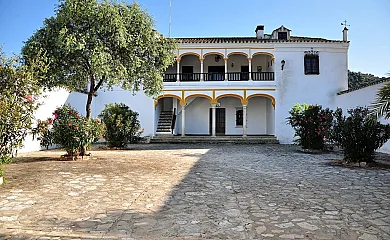 Cortijo La Rejaquera en Villanueva Del Rio y Minas (Sevilla) - Foto 19