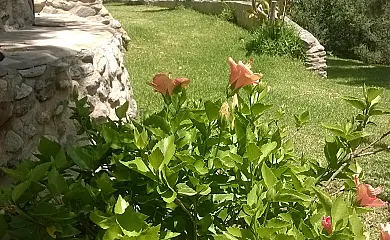 Finca EL Gales, Cortijo Los Olivos en Orgiva (Granada) - Foto 6