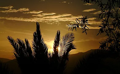 Finca EL Gales, Cortijo Los Olivos en Orgiva (Granada) - Foto 17
