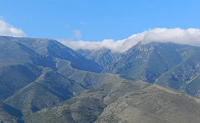 Finca EL Gales, Cortijo Los Olivos en Orgiva (Granada) - Foto 19