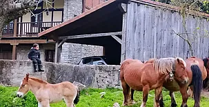 Casa Rural Apezetxea 0020