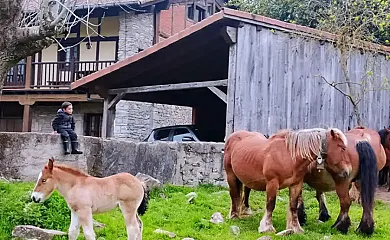 Casa Rural Apezetxea en Arruitz (Navarra) - Foto 20