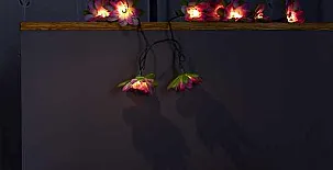 Ca n´Aleix y L'era de Cal Roger 0042