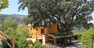 El Encinar de Cobo 005