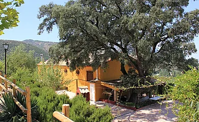 El Encinar de Cobo en Fuensanta de Martos (Jaén) - Foto 4