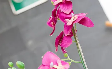 Casa 110 en Aldea Del Fresno (Madrid) - Foto 20