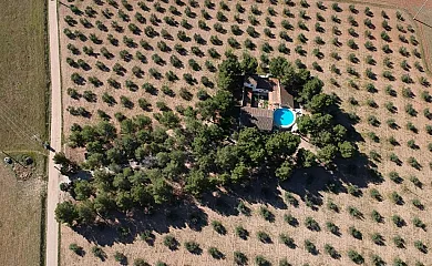 Apartamentos Rurales Las Caleras en Almagro (Ciudad Real) - Foto 19