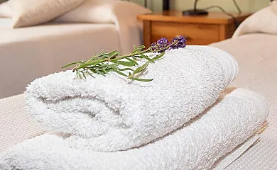 Txortako Txikia en Orbaitzeta (Navarra) - Foto 5