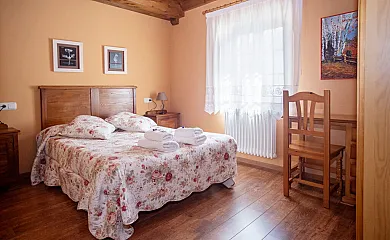 Txortako Txikia en Orbaitzeta (Navarra) - Foto 7