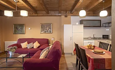 Txortako Txikia en Orbaitzeta (Navarra) - Foto 9