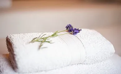 Txortako Txikia en Orbaitzeta (Navarra) - Foto 14