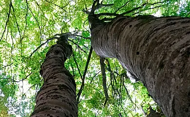 Txortako Txikia en Orbaitzeta (Navarra) - Foto 20