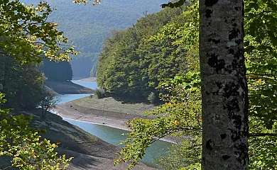 Txortako Txikia en Orbaitzeta (Navarra) - Foto 21