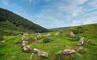 Txortako Txikia en Orbaitzeta (Navarra) - Foto 23