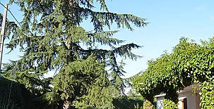 Casa Rural El Cedro 0050