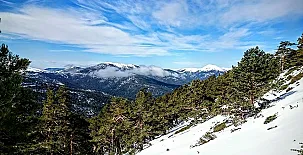 Casa Rural El Cedro 0051