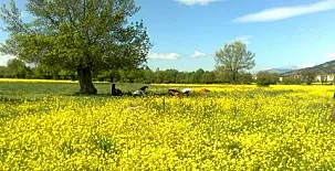 Casa Rural El Cedro 0053