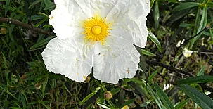 Casa Rural El Cedro 0055