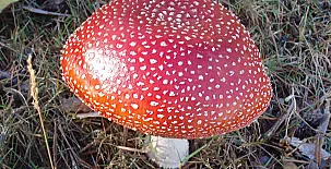 Casa Rural El Cedro 0058