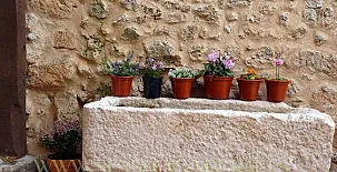 Casa Azul de la Ribera 005