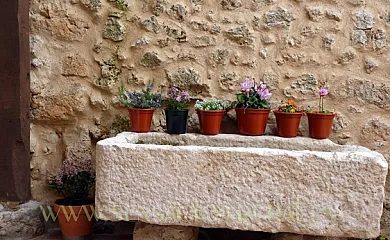 Casa Azul de la Ribera en Mambrilla de Castrejón (Burgos) - Foto 5