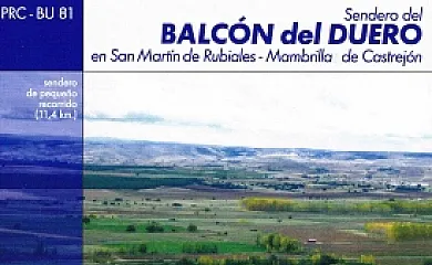 Casa Azul de la Ribera en Mambrilla de Castrejón (Burgos) - Foto 13