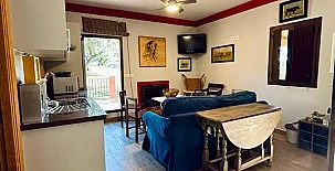 Pinos de Navalfresno 003