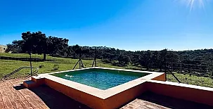 Pinos de Navalfresno 002