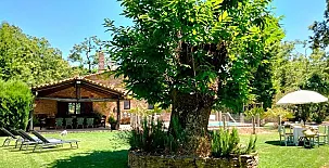 El Castañar de Aracena 0032