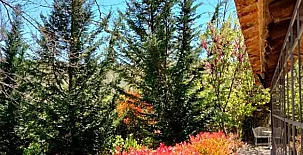 El Castañar de Aracena 0033