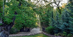 El Castañar de Aracena 0035