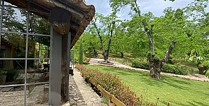 El Castañar de Aracena 0045