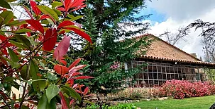 El Castañar de Aracena 0047