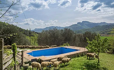 Mas Garganta en Olot (Girona) - Foto 13