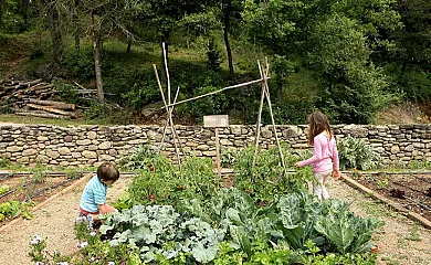 Mas Garganta en Olot (Girona) - Foto 18