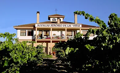 Señorio de Las Viñas en Laserna (Álava) - Foto 2