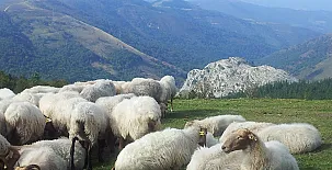 Amaloka Holiday Home 003