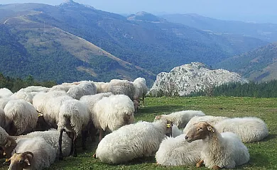 Amaloka Holiday Home en Trucios (Vizcaya) - Foto 3