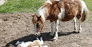 Rincón de Aiara 004