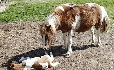 Rincón de Aiara en Menagarai (Álava) - Foto 4