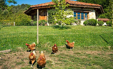 Guikuri en Murua (Álava) - Foto 3