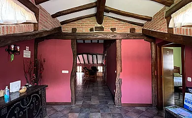 Argiñenea en Berastegi (Guipuzcoa) - Foto 5