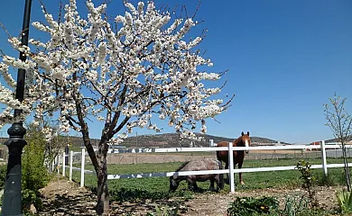 Los Laureles 1 en Urda (Toledo) - Foto 21