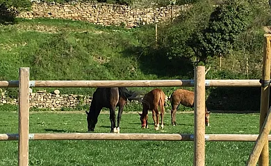 Casa Concejos en San Román de Cameros (La Rioja) - Foto 2