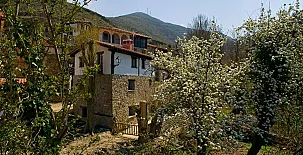 Casa Tío Conejo 002