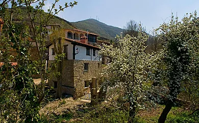 Casa Tío Conejo en San Román de Cameros (La Rioja) - Foto 2