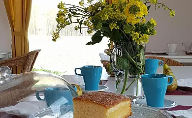 Hotel Valle del Oja en Casalarreina (La Rioja) - Foto 5