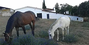 Casa Rural La Vallejera 0039