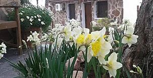 Les Eres de Gátova 0029